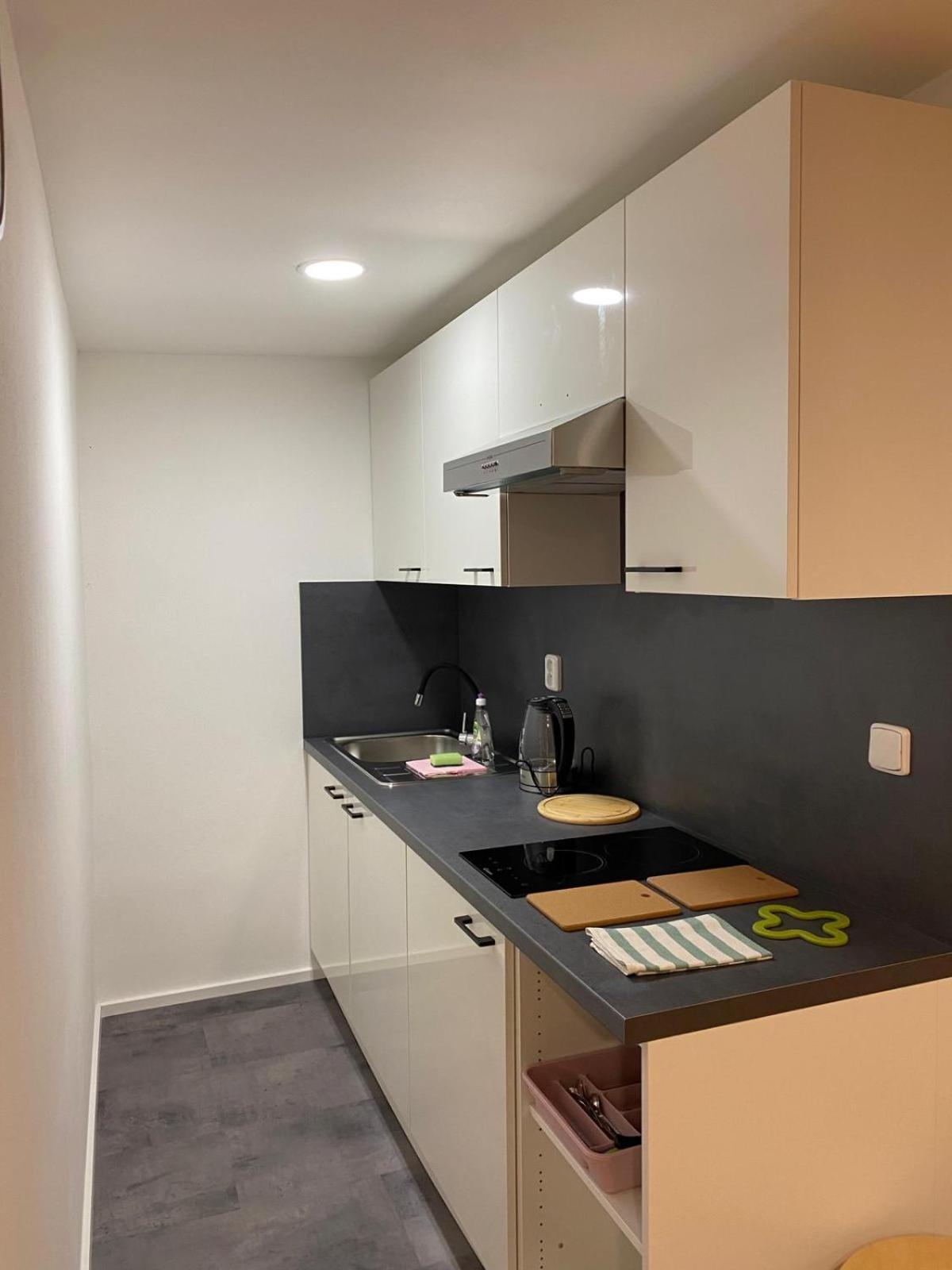 Apartament Pod Lipou Liberec Zewnętrze zdjęcie